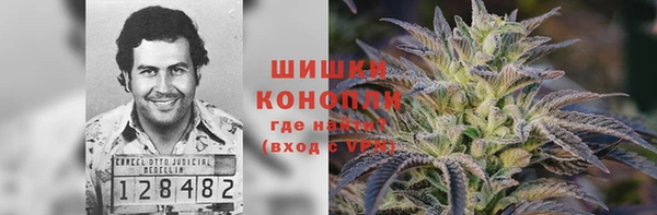 молекула духа Белоозёрский