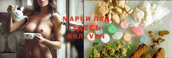 трава Беломорск