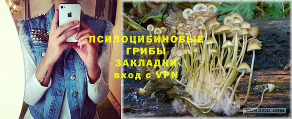 молекула духа Белоозёрский