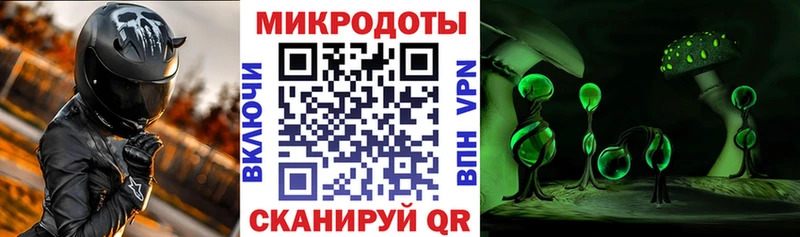 дарк нет какой сайт  Горячий Ключ  Галлюциногенные грибы GOLDEN TEACHER 
